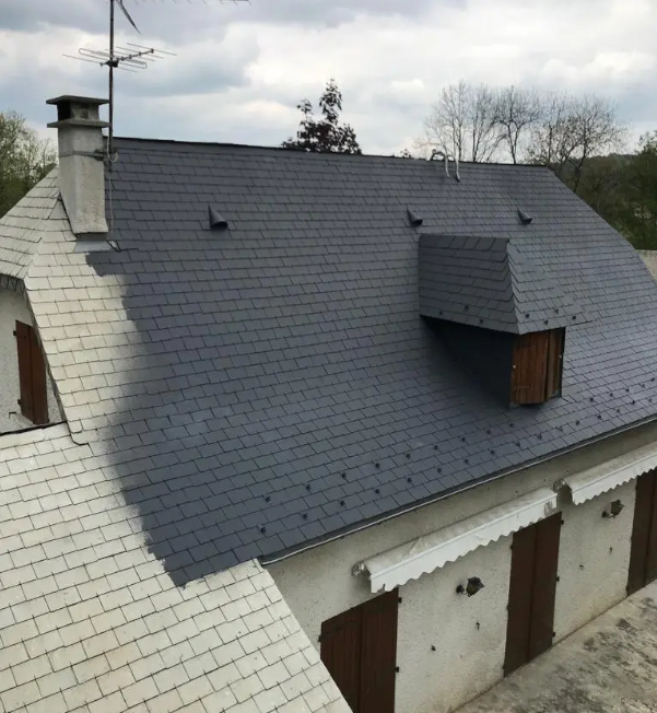 Peinture sur toiture